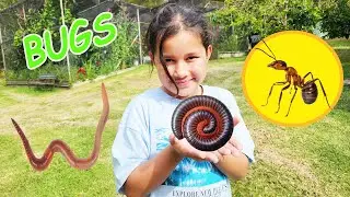 Bug Hunt In Australia With Zoe Giant Worms Bull Ants