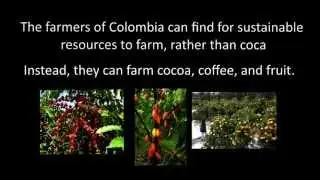 Coca Conflict in Colombia