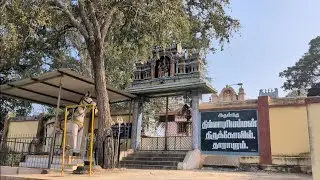 தாராபுரம் | தில்லாபுரியம்மன் கோவில் சிறப்புகள் | BACKBONE
