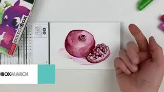 SketchBox School Premium Pass: March 2021