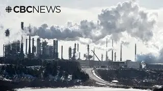 Canada must strategically use export controls on critical minerals: expert