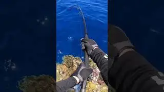 #fishing #fisherman #fishyangler #ocean #mainlinebaits #fishingrod