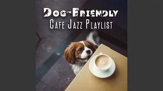 Doggy Treats