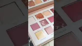Miss Rose Nude Eyeshades Palette
