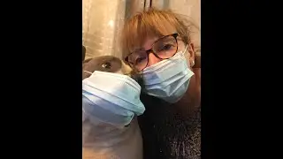 chanson revisit&eacute;e sur le Covid