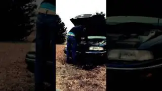 Predator Prank