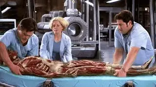 Hollow Man Explained in Hindi | Invisible Scientist Turns Killer 😱