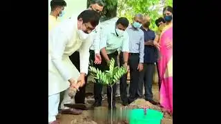 Vivek Sir Planting Tree🌳🌳 || RIP Vivek Sir 🥺🥺