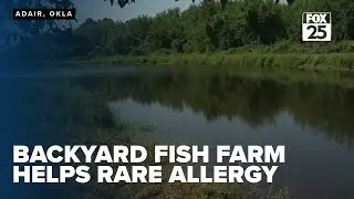 Backyard fish farm provides peace of mind for family with rare allergy
