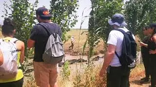 AMMIQ WETLAND HIKE WITH LEBANON OUTDOOR ACTIVITIES - 21-06-20