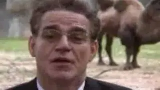 Max Muiderman - Daar sta je dan