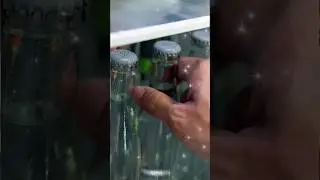 минеральная вода, ОП!!! на-най-най!!! а там краска ))) #funny #water #жара #вода #утолитьжажду