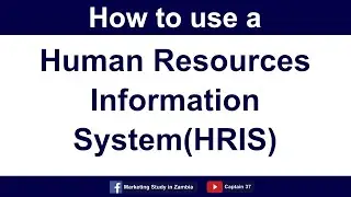 Как использовать систему управления персоналом (HRIS)