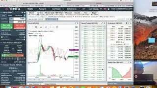 Powerbot signals Bitmex trading basics