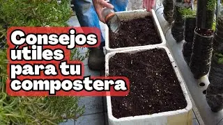 🌱consejos utiles para tu compostera #plantas #balconygarden