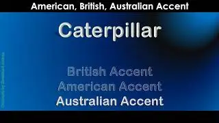 Caterpillar   How to Pronounce Caterpillar in Australian Accent, British Accent, American Accent?