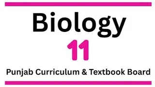 Disorders of Lungs | Class 11 Biology Chapter Respiratory System | New Book 2025