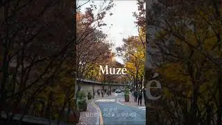 ✧ Shorts ✧ 덕수궁 | 🍂 가을 하늘과 돌담길 사이 | Autumn Cafe Music