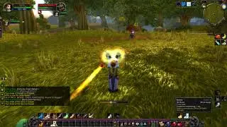 Highlight: Classic WoW Priest & Mage Solo Hogger