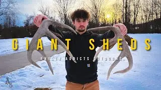 Giant Ohio public land match set // shed hunting 2026 episode 1
