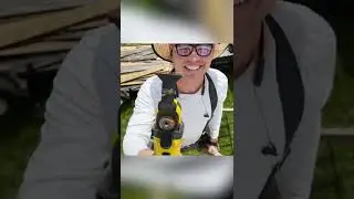 Отчаянные плотники