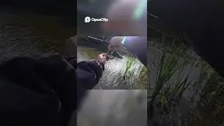 Fishing Adventure: Carp or Tench? We Find Out!