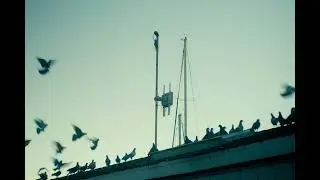 old fisherman's wharf | fujifilm xh2s + helios 44-4m