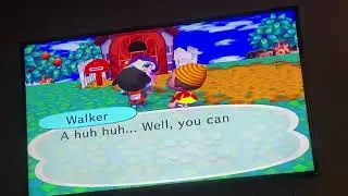 Animal Crossing City Folk: A conversation between Walker and Gloria
