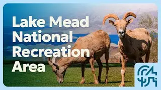 Lake Mead National Recreation Area - WNP