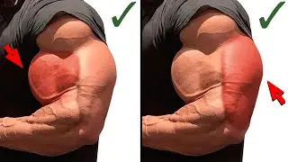 8 Arm Exercises for Bicep and Tricep Workout to Build Wider Arms