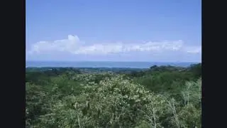 PRICE REDUCTION!!! &nbsp;2.5 ACRES &ndash; Great Access, Great Ocean View, Great price!!&nbsp; Now Only $90,0000!!!!