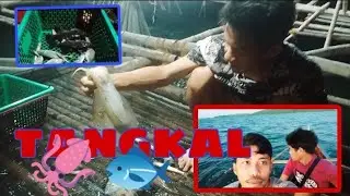TANGKAL/ Nag ka problema yong TANGKAL natin/ Tol Ben's OFFICIAL TV