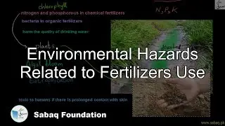 Environmental Hazards Related to Fertilizers Use, Biology Lecture | Sabaq.pk