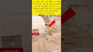 Flood 🌊 Heroes 💪 Saving 🙏 Lives 👥 | Real 🔥 Courage ❤️ In Action 🛶#viral #video #trending #short #