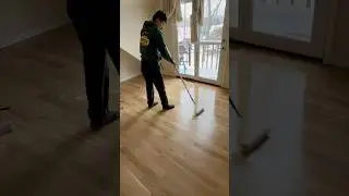 Белый дуб переоценён? 🤔