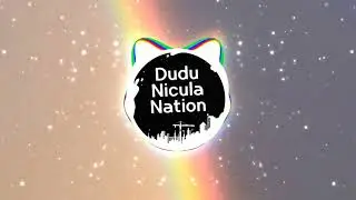 Dudu Nicula - EN_SI_ES