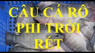 Mồi c&acirc;u tổng hợp giang truong Fishing t&eacute;t tự nhi&ecirc;n đ&ecirc;m r&eacute;t 10 độ C buổi thứ hai