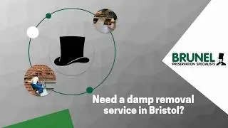 Best Damp Proofing Company Bristol | Brunel 0117 953 5383