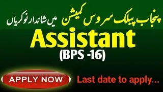 Punjab public service commission jobs 2025 / Assistant bps 16 job ppsc apply online 