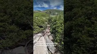 A video I made on Instagram