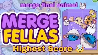 Highest Score in Merge Fellas | Merging 2 final animals | Shocking 🤯 #mergefellas #satisfyinggames