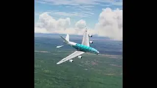 plane landed in bad weather 197