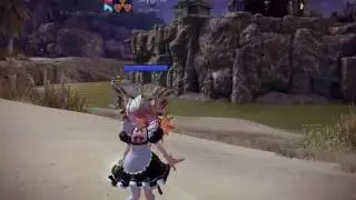 TERA: Fraywind Canyon - Mystic Gameplay - Guild Party