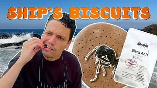 Самые настоящие корабельные галеты! (При участии Black Ants)