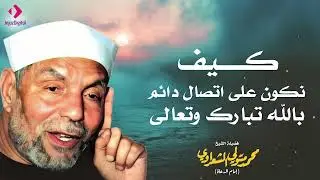ماذا سيفعل الله تبارك وتعالى لك إذا كنت على اتصال دائم به   الشعراوي