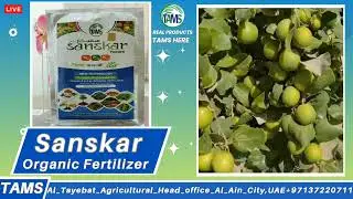 Sanskar natural fertilizer it is 100% organic balanced soluble fertilizer #tams #farming  #tamsagro