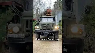croco time