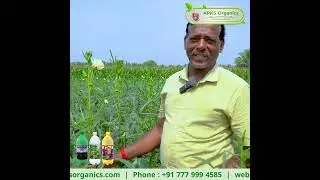 [ Hindi ] Okra ( Lady's Finger ) Online Farmer Mr. Sakthivel giving feedback about our Products