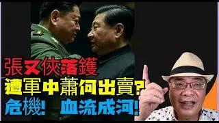 #沈四海 ： 邊個係軍蕭何？令兩軍佬#張又俠 #劉振立順利落鑊！對峙 危機！（血流成河）