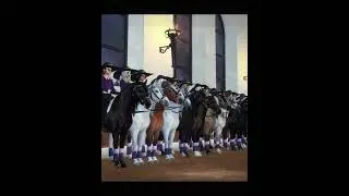 #club #edit #sso #starstable #horse #starstableonly #starstableonline 